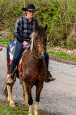 Visiting Cowboys-0501.jpg