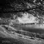 LaStrangePreserve3-1.jpg