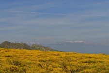 _ROY9018_00001.jpg