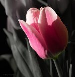 D810-7205_2.jpg
