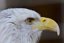 _ROY9133_00001.jpg