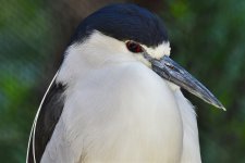 _ROY9213_00001.jpg