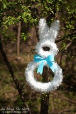 _DSC9780 low res.jpg