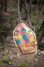 _DSC9782 low res.jpg