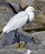 _ROY9623_00001.jpg