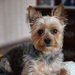 20190415_221510.jpg