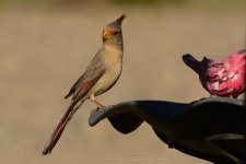 04-18-19-cr__D7K0758.jpg