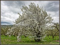 710_1026-Edit.jpg