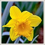 DSC_3609-Edit.jpg