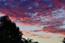_ROY0560_00001.jpg