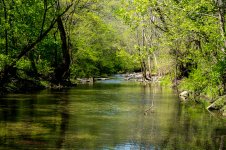 Gilberts Creek and Such-0755.jpg