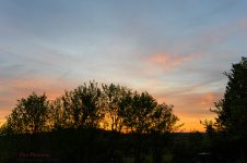 Morning Sun-0738.jpg