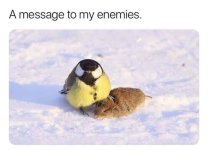 0B8C3A19-6CFC-427D-89FF-5BA4D241D794.jpeg