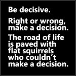 squirrel.jpg
