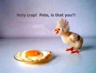 pete.jpg
