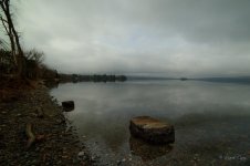 DSC_7766.jpg