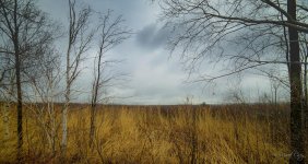 DSC_7771.jpg