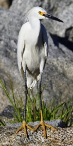 _ROY0836_00001.jpg