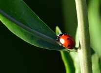 _ROY0881_00001.jpg