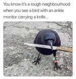 s9yw76t.jpg