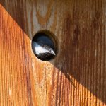 NestBox-403.jpg