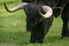 _DSC1983 low res.jpg