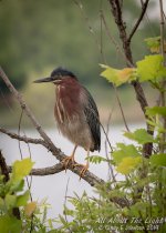 313298d1559348144-post-your-favorite-may-shot-2019-a-_dsc0070-low-res.jpg