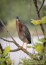 311143d1556969493-hark-2019-a-_dsc0063-low-res.jpg