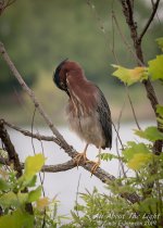 311145d1556969499-hark-2019-a-_dsc0073-low-res.jpg