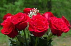 DSC_6840-Edit.jpg