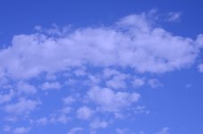11th May 2013 038.jpg