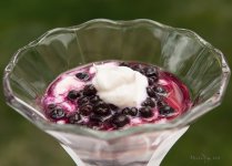 Blueberry & Yougourt 1.jpg