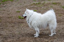 DSC_6879.jpg