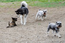 DSC_6886.jpg