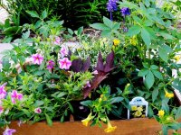 DSCN8922.jpg