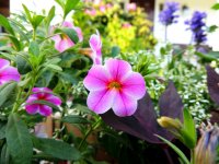 DSCN8923.jpg