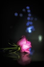 star bokeh.jpg