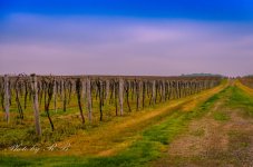 20120511-_1RB4767.jpg