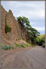 CANYON 081.jpg