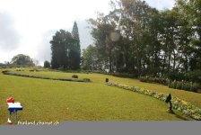 doipui9.jpg