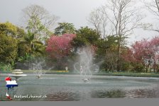 doipui13.jpg