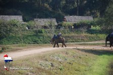 doipui26.jpg