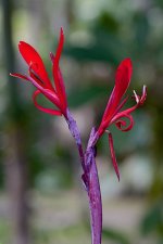 DSC_0293.jpg