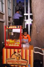 kidszenia-27.jpg