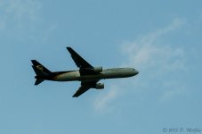 DSC_7009.jpg