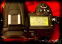 DSC_6404_WLP.jpg