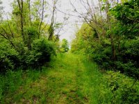 DSCN9033.jpg