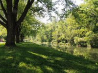 DSCN9048.jpg