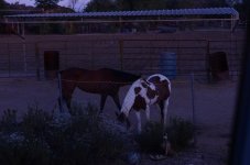 15th May 2013 002.jpg
