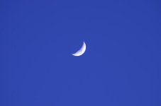15th May 2013 031.jpg